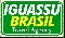 locação de vans - Foz do Iguaçu