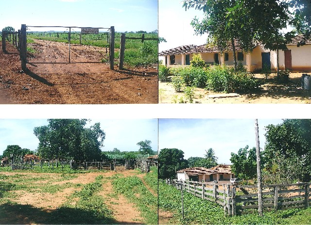 Foto 1 - Fazenda na regio do Norte de Minas Gerais